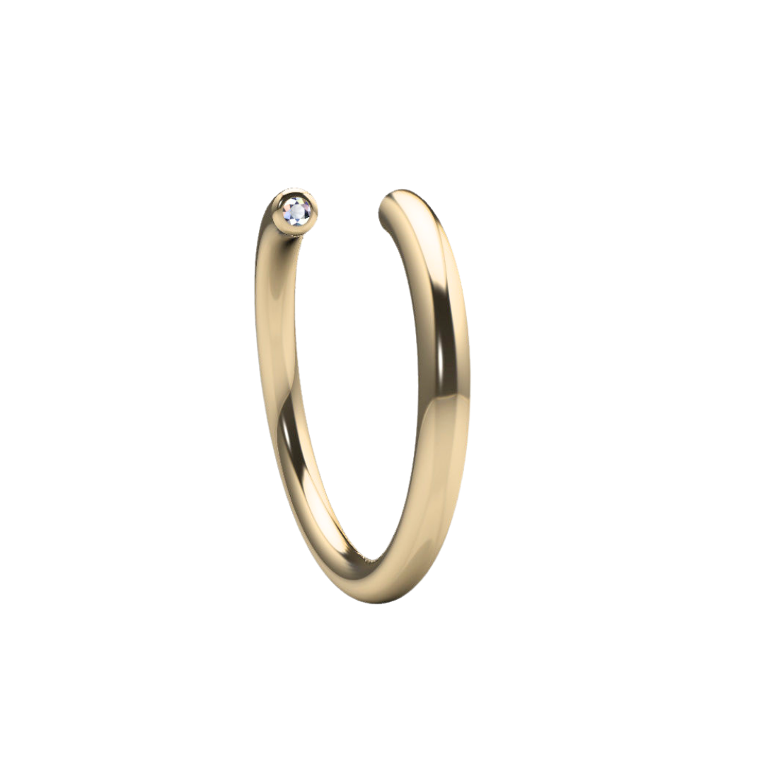 Silver Ardhika Ring