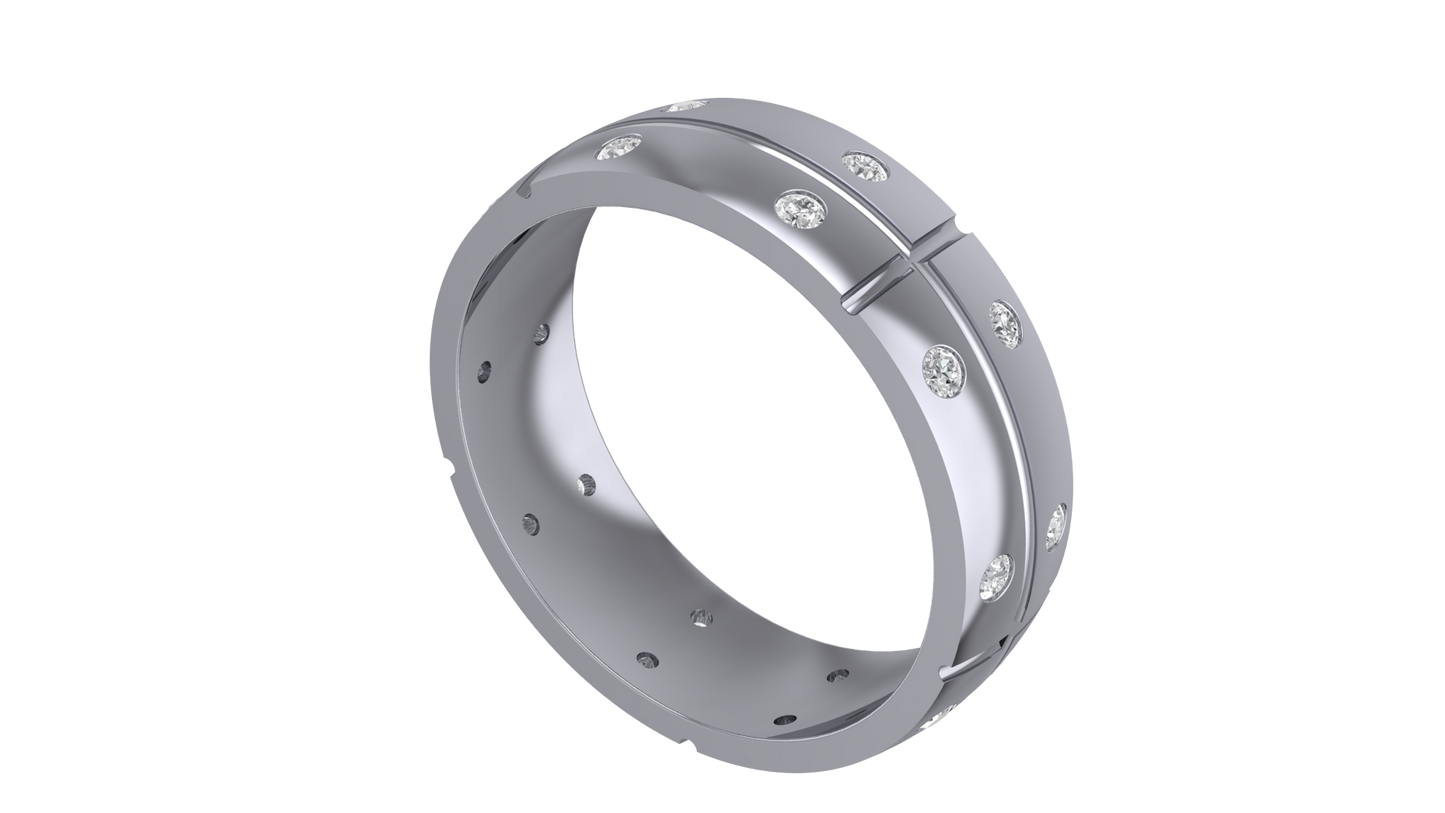 Double Shine Band Ring