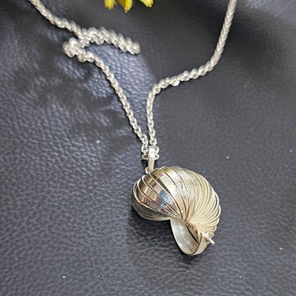 Beautiful Seashell Necklace