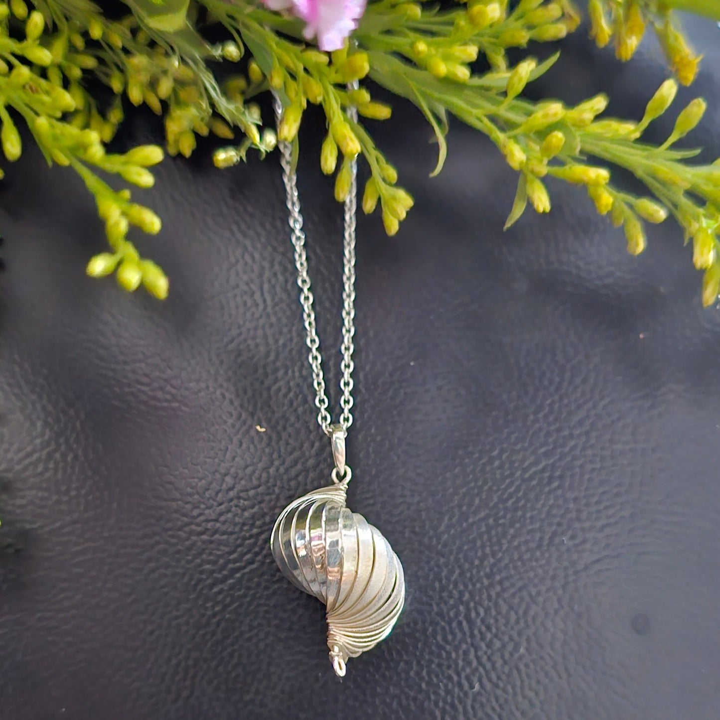 Beautiful Seashell Necklace