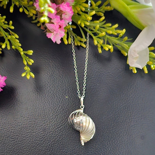 Beautiful Seashell Necklace