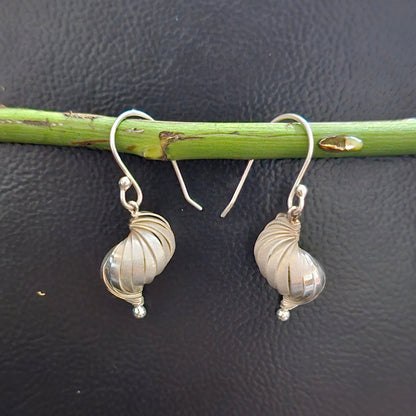 Sassy Sea Shell Dangle Earrings