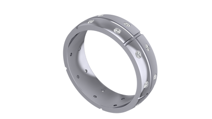 Double Shine Band Ring